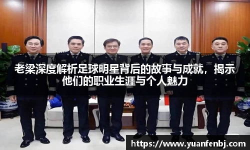 365完美体育官网