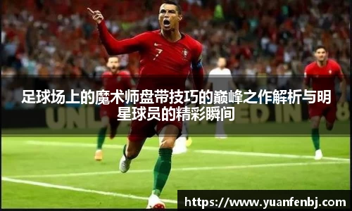 365完美体育官网