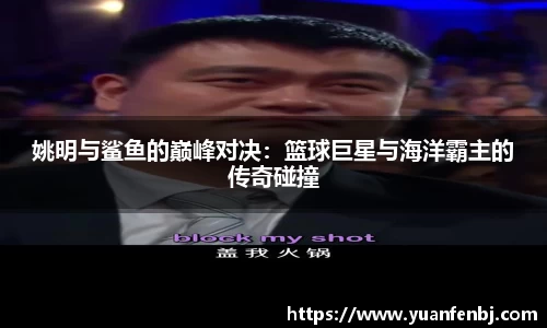 姚明与鲨鱼的巅峰对决：篮球巨星与海洋霸主的传奇碰撞